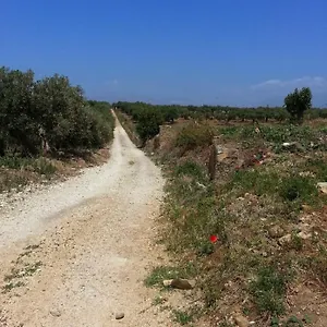 Casa di campagna La Casa Al Ficus, Alcamo