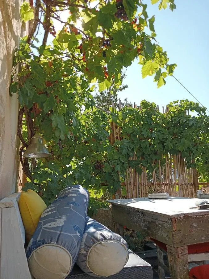 Baglio Ficus Guest House Alcamo Country house